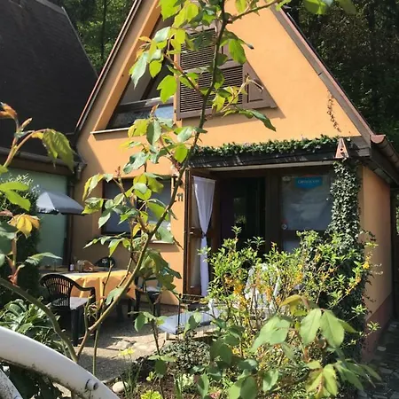 Le Chalet D'adeline * Kaysersberg-Vignoble